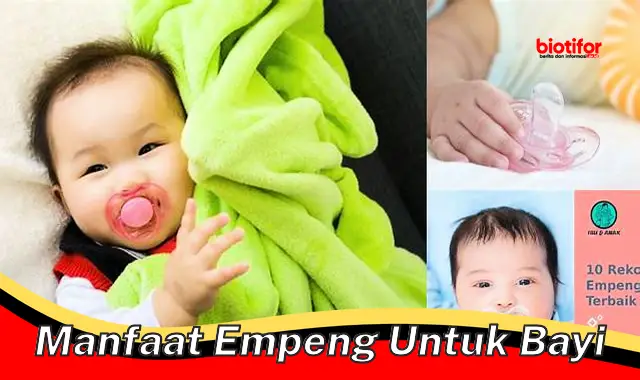 Temukan Manfaat Dot Bayi yang Jarang Diketahui