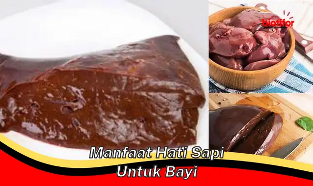 Temukan Manfaat Hati Sapi untuk Bayi yang Harus Diketahui