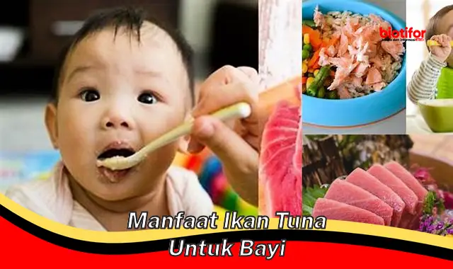 5 Manfaat Ikan Tuna untuk Bayi yang Jarang Diketahui