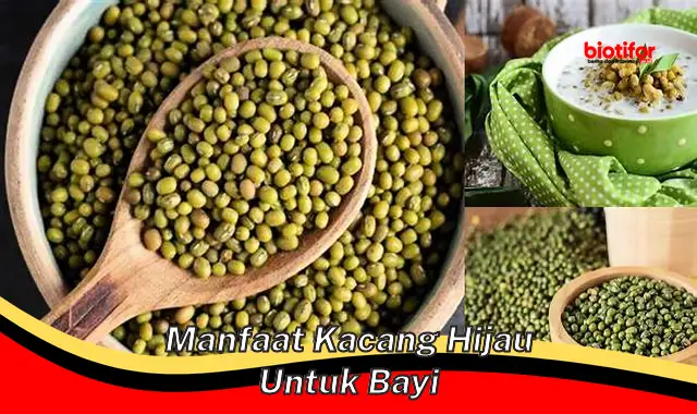 Temukan Manfaat Luar Biasa Kacang Hijau untuk Bayi, Jarang Diketahui!