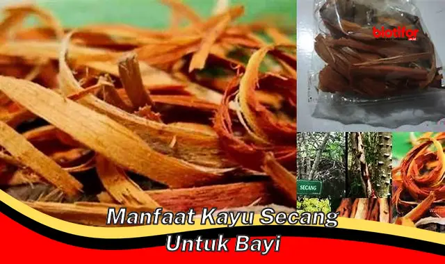 Temukan Manfaat Langka Kayu Secang untuk Bayi yang Wajib Diketahui