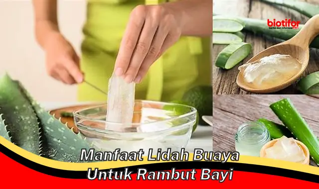 Temukan 5 Manfaat Lidah Buaya untuk Rambut Bayi yang Jarang Diketahui