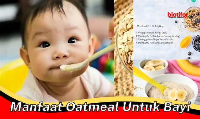 Temukan Rahasia Manfaat Oatmeal untuk Bayi yang Jarang Diketahui