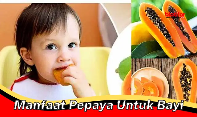 Temukan 5 Manfaat Pepaya untuk Bayi yang Jarang Diketahui