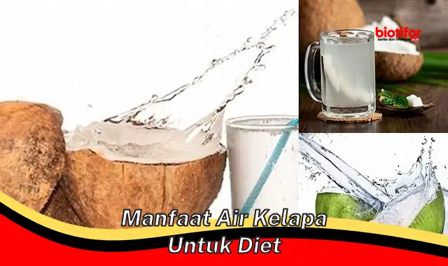 Ungkap 5 Manfaat Air Kelapa untuk Diet yang Jarang Diketahui