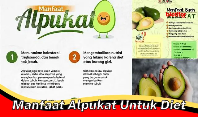 Temukan Khasiat Alpukat untuk Diet yang Jarang Diketahui