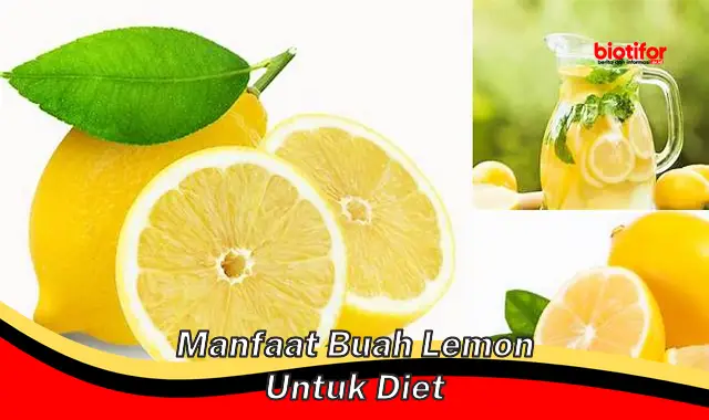 Temukan 5 Manfaat Buah Lemon untuk Diet yang Jarang Diketahui