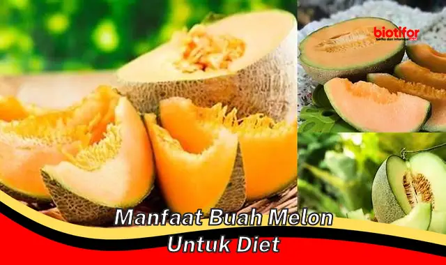 Temukan Khasiat Melon yang Jarang Diketahui untuk Mendukung Diet