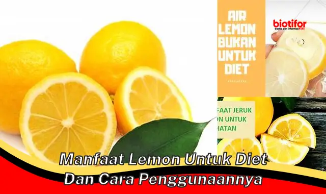 Temukan 5 Manfaat Lemon untuk Diet yang Jarang Diketahui