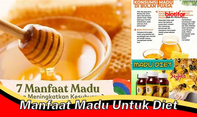 Ungkap 5 Manfaat Madu untuk Diet yang Jarang Diketahui