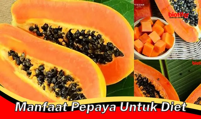 Temukan Manfaat Pepaya Untuk Diet yang Jarang Diketahui