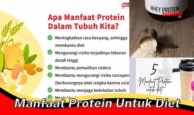 Gali Rahasia Protein untuk Diet yang Jarang Diketahui