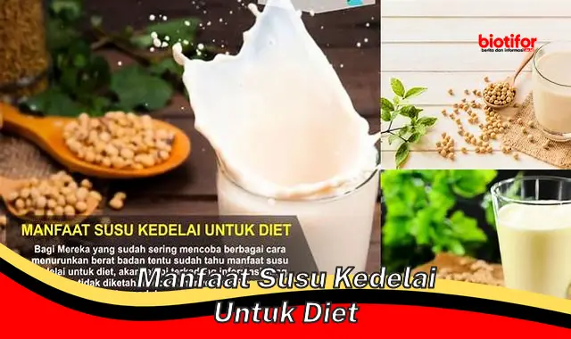 Temukan 5 Manfaat Susu Kedelai untuk Diet yang Jarang Diketahui