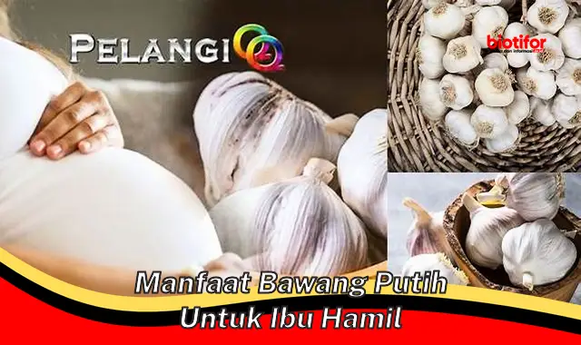 Temukan Manfaat Bawang Putih untuk Ibu Hamil yang Perlu Anda Ketahui