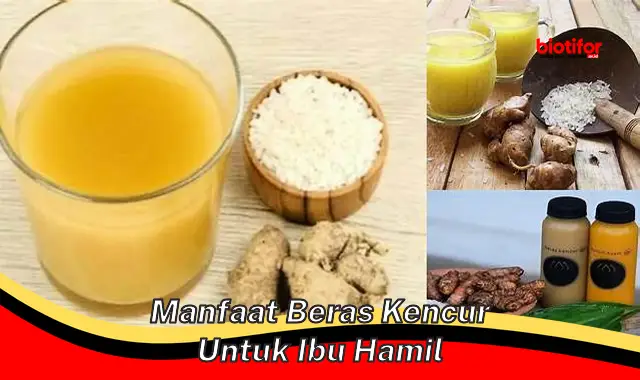 Temukan Manfaat Beras Kencur yang Jarang Diketahui untuk Ibu Hamil