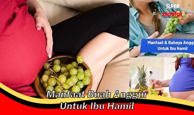manfaat buah anggur untuk ibu hamil manfaat buah anggur untuk ibu hamil