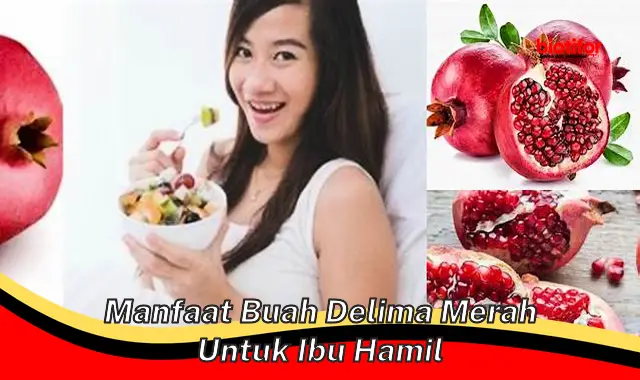 Temukan Manfaat Buah Delima Merah untuk Ibu Hamil, Yang Jarang Diketahui!