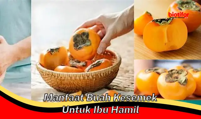 Temukan Rahasia Manfaat Kesemek untuk Ibu Hamil