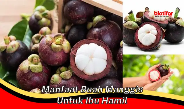 Temukan Manfaat Buah Manggis Untuk Bumil yang Jarang Diketahui