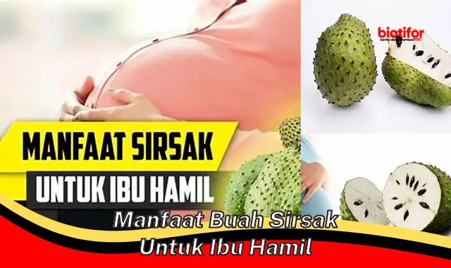 Temukan Manfaat Buah Sirsak untuk Ibu Hamil yang Perlu Diketahui