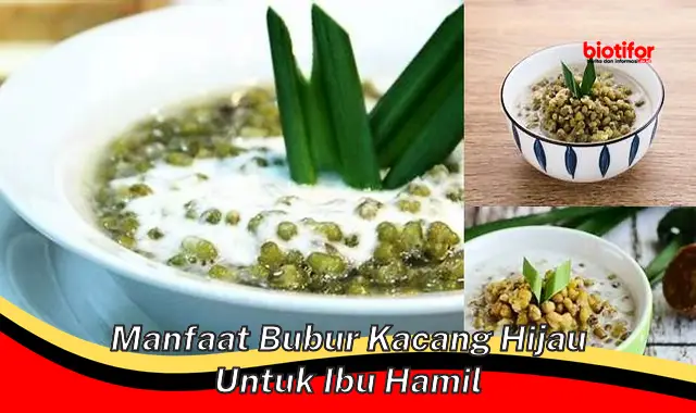 Temukan Manfaat Bubur Kacang Hijau untuk Ibu Hamil yang Jarang Diketahui