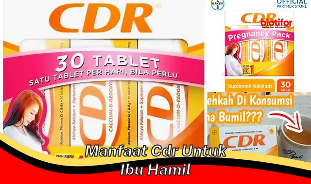 Temukan 5 Manfaat CDR untuk Ibu Hamil yang Jarang Diketahui