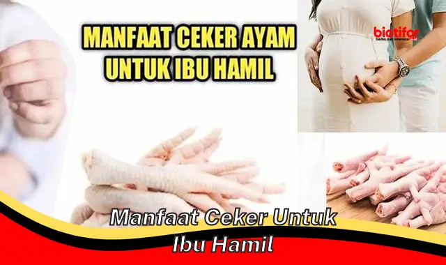 Temukan Manfaat Ceker untuk Ibu Hamil yang Jarang Diketahui