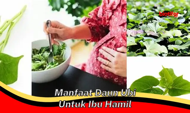 Temukan Manfaat Daun Ubi yang Perlu Diketahui Ibu Hamil