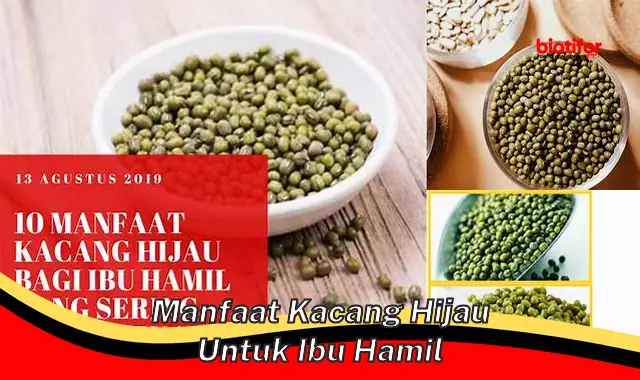 Temukan 5 Manfaat Kacang Hijau untuk Ibu Hamil yang Jarang Diketahui