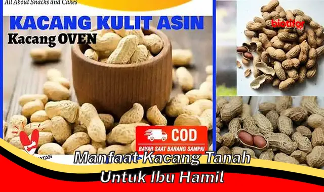 Temukan 5 Manfaat Kacang Tanah Untuk Ibu Hamil yang Jarang Diketahui