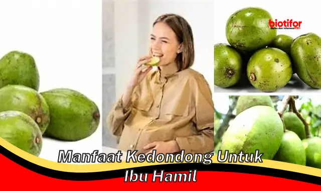 Temukan Manfaat Kedondong Untuk Ibu Hamil yang Jarang Diketahui