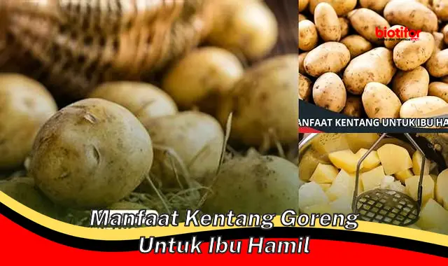 Temukan Manfaat Kentang Goreng untuk Ibu Hamil yang Jarang Diketahui