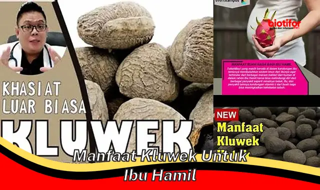 Temukan Manfaat Kluwek untuk Ibu Hamil yang Jarang Diketahui