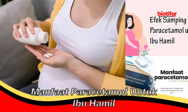 Temukan Manfaat Tersembunyi Paracetamol untuk Ibu Hamil yang Jarang Diketahui