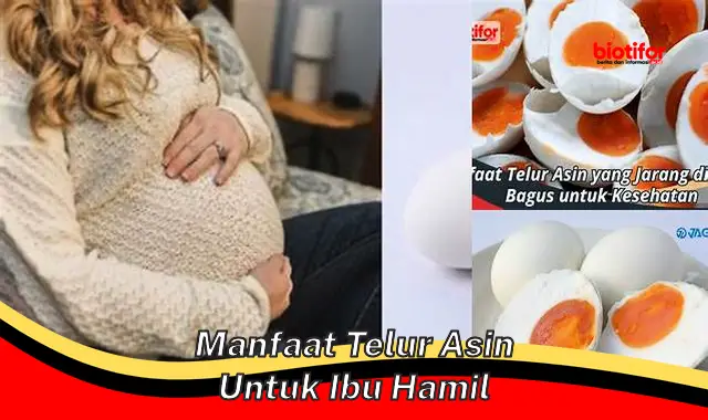 Temukan 5 Manfaat Telur Asin untuk Ibu Hamil yang Jarang Diketahui