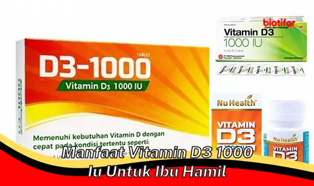 manfaat vitamin d3 1000 iu untuk ibu hamil manfaat vitamin d3 1000 iu untuk ibu hamil