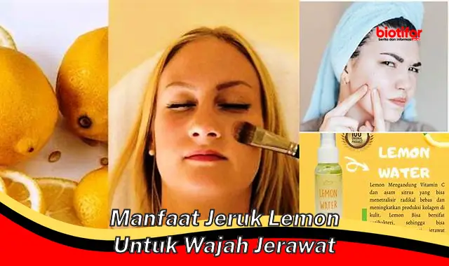 Temukan Rahasia Jeruk Lemon Ampuh Atasi Jerawat yang Jarang Diketahui