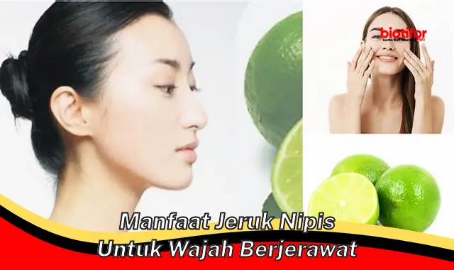 Temukan Khasiat Jeruk Nipis untuk Wajah Berjerawat yang Jarang Diketahui!