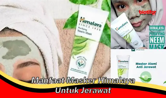 Temukan 5 Manfaat Masker Himalaya untuk Jerawat yang Jarang Diketahui