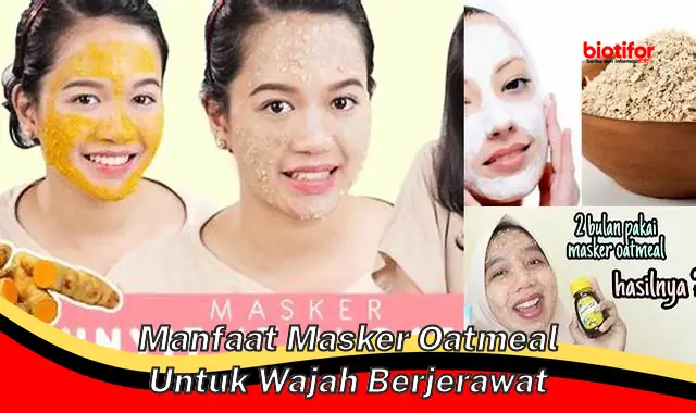 manfaat masker oatmeal untuk wajah berjerawat manfaat masker oatmeal untuk wajah berjerawat