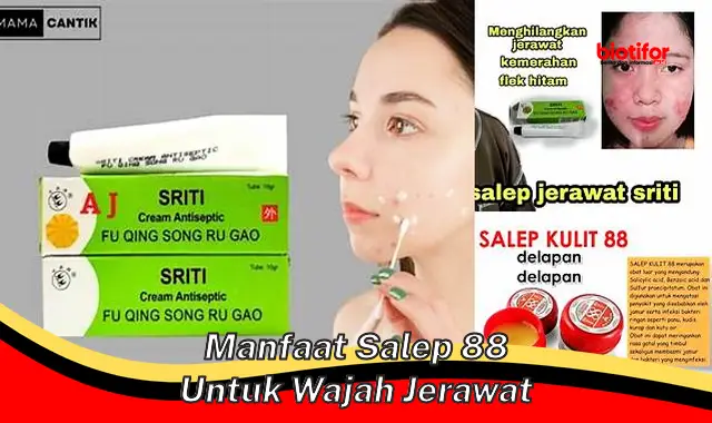 Temukan Manfaat Salep 88 untuk Wajah Berjerawat yang Jarang Diketahui