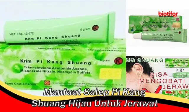 Temukan Manfaat Salep Pi Kang Shuang Hijau untuk Jerawat yang Jarang Diketahui!