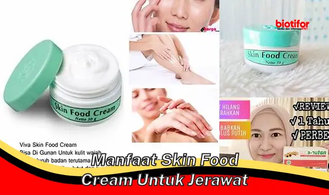 Temukan Rahasia Skin Food Cream untuk Wajah Berjerawat, Dijamin Ampuh