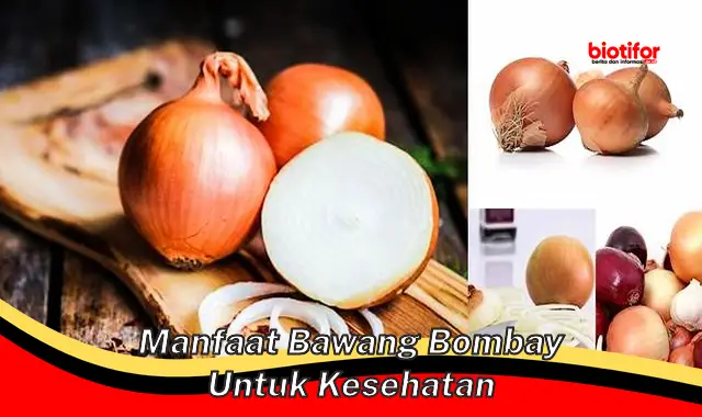 Temukan Manfaat Bawang Bombay yang Jarang Diketahui