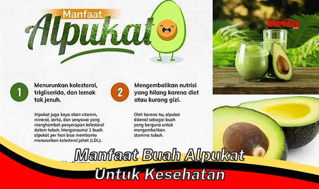 Temukan Manfaat Alpukat untuk Kesehatan yang Jarang Diketahui