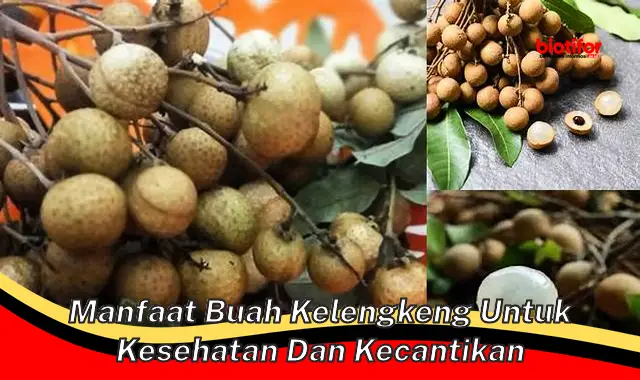 Temukan Manfaat Buah Kelengkeng untuk Kesehatan yang Tak Disangka-sangka