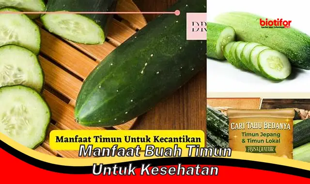 5 Manfaat Buah Timun untuk Kesehatan yang Jarang Diketahui