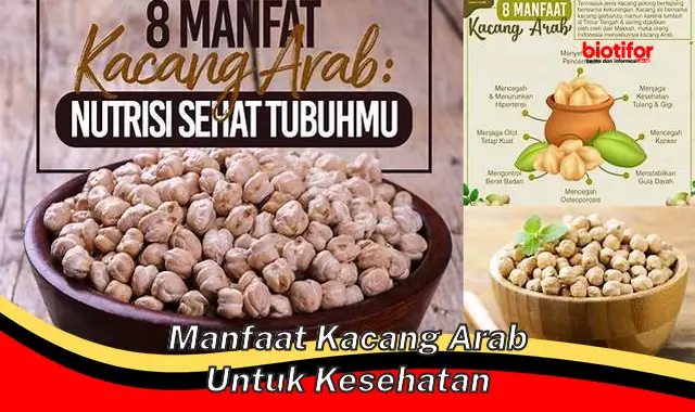 Temukan Manfaat Kacang Arab untuk Kesehatan yang Jarang Diketahui