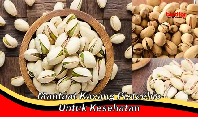 manfaat kacang pistachio untuk kesehatan manfaat kacang pistachio untuk kesehatan