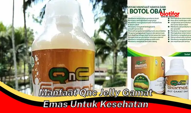 Temukan 5 Khasiat QNC Jelly Gamat Emas untuk Kesehatan yang Jarang Terungkap